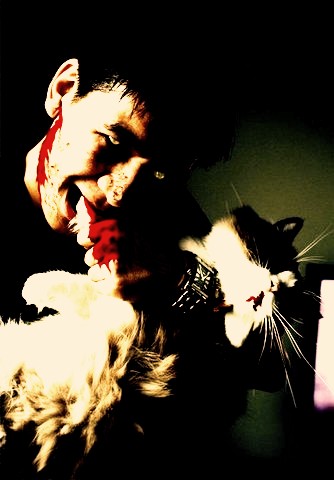 Photo from artist